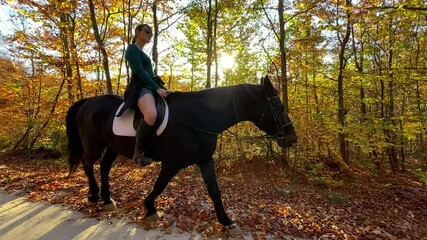 Wall Mural - SLOW MOTION, LENS FLARE: Young Caucasian woman takes her horse for a ride along a sunlit forest trail on a beautiful afternoon. Female horseback rider explores the fall colored countryside with horse.