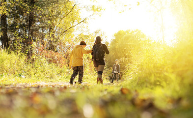 Wall Mural - People walking in the woods 