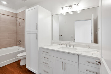 Wall Mural - white bathroom with one sink, and granite countertops
