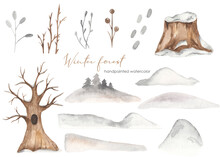Watercolor Set Winter Forest With Oak Tree With Snow, Tree Stump, Snowdrifts, Dry Grass, Branches