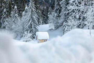 After the snowfall. Dusk on the Sappada plain. Magic of winter.