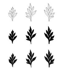 Wall Mural - Botanicals outline and silhouette decorative pack on white