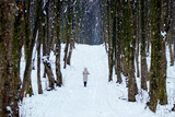 Fototapeta Las - A lonely girl walks in the park in winter during a snowfall