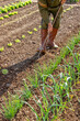 © guitou60 - Entretien d'un jardin