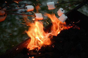 Roasting and cooking marshmallow on a fire at the evening. Close up.