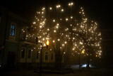 Fototapeta  - Foggy night in a city with a big tree and lightbulbs. Street illumination. 