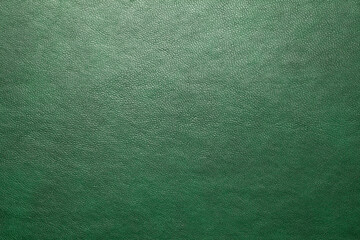 Wall Mural - Background of green leather texture