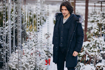 Poster - Handsome man choosing a christmas tree