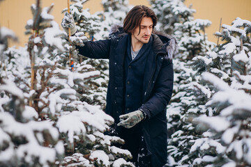 Wall Mural - Handsome man choosing a christmas tree