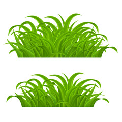 Poster - Green grass Elements for Spring or Nature Design. Illustration on White Background. Grass with Refractions, Natural Border for Decoration in Your Works