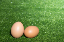 Chicken Eggs  Green Background