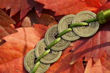 Wall Mural - Chinese Feng Shui coins on autumn leaves. Symbol of good luck and prosperity.