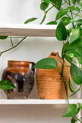 Antique ceramic vases on wooden shelf. Interior design detail