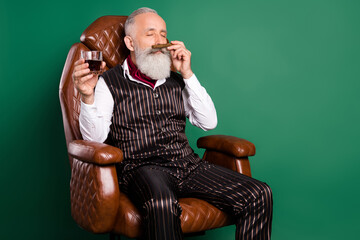 Sticker - Photo of bearded old man sit armchair drink whiskey smell luxury cigar wear striped suit on green color background