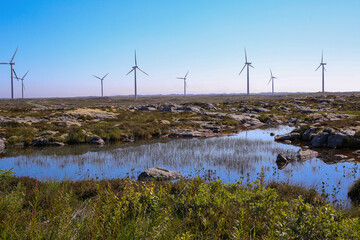 Canvas Print - Smoela wind park, Norway