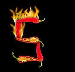 Numbers 5 made of hot pepper and fire