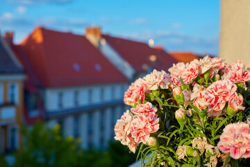 Wall Mural - Front garden on the veranda. Flowers in pots with a city on the background