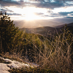 Wall Mural - Winter landscape in the Kopaonik National Park, Serbia. Dry grass on a thawed patch in the foreground. The sun illuminates the Kopaonik valley before sunset. Spring is coming