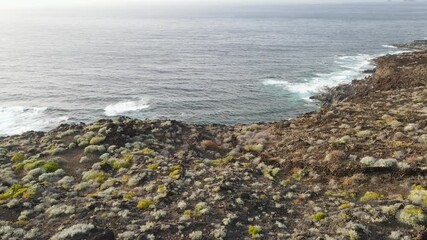 Canvas Print - A mossy volcanic shore of El Hierro island in 4K