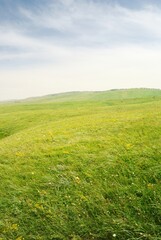 Wall Mural - Caucasus mountain green valley panorama, general view. Idyllic summer landscape. Pure nature, ecology, environment, travel destinations, ecotourism. Picturesque panoramic scenery, aerial view