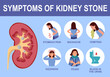 Kidney stone symptom infographic in flat design vector illustration.