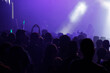 © Carolina - Silhouette of Crowd of people in concert with colorful lights in background. Concert concept