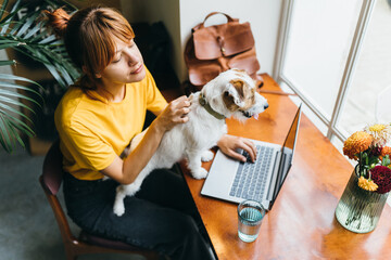 View from above of positive cute dog with female owner working with laptop in coffee shop. Cute woman freelancer petting and caressing a dog during break in workplace at home.