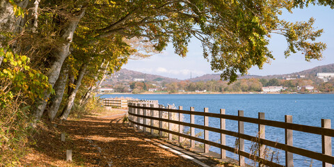 Wall Mural - Lake Yamanaka Cycling Road covered with fallen leaves in autumn　秋の紅葉サイクリング 山中湖のサイクリングロード