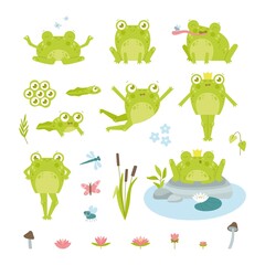 Wall Mural - Cute happy toad or frog character flat vector illustrations set. Funny drawings of eggs, tadpole and adult green amphibian in crown, lotus, insects isolated on white background. Nature, fauna concept