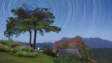 Wall Mural - time lapse, a wonderful winter scene. beautiful star trail at mae taman viewpoint in chiang mai, wit