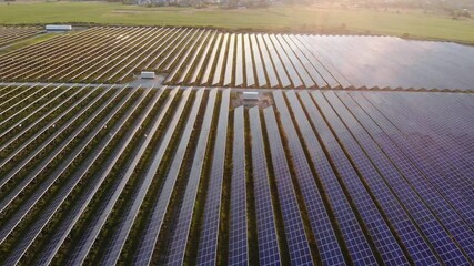 Wall Mural - Aerial view of solar farm. Drone flies over rows of solar panels at sunset. Glare from sun reflects off surface of panels.