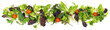 Salat, Blattsalat Panorama  freigestellt - Hintergrund weiß