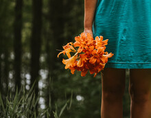 Cropped Image Of Woman In Blue Dress Holding Bunch Of Orange Flowers.