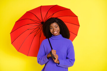 Wall Mural - Photo of charming lady hold red umbrella beaming smile wear purple sweater isolated yellow color background