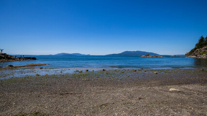 Wall Mural - Seashore landscape at Larrabee State Park in Bellingham Washington during summer.