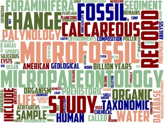 micropalaeontology typography, wordcloud, wordart, microfossils,data,collection,micropalaeontology