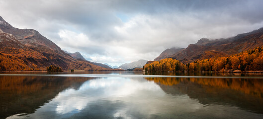 Wall Mural - panorama of atumn lake sils (silsersee) in swiss alps mountains. colorful forest with orange larch. 