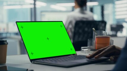 Sticker - Successful Black Businessman Sitting at Desk Working on Green Screen Laptop in Office. African American Businessperson using Touch Pad on Chroma Key Computer. Over Shoulder Static Shot Focus on Hand