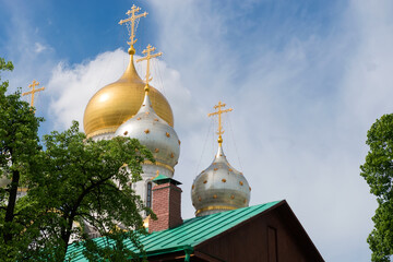 Wall Mural - Domes of the Cathedral of the Nativity of the Blessed Virgin Mary in the Conception Monastery on Ostozhenka in Moscow.