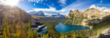 Panoramic View Of Glacier Lake With Canadian Rocky Mountains In Background. Sunny Fall Day. Located In Lake O'Hara, Yoho National Park, British Columbia, Canada. Nature Panorama