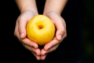 Canvas Print - hand holding a Chinese pear