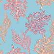 Background with corals. Seamless vector pattern