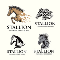 Wall Mural - simple sign horse head sport logo vector collection