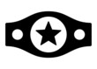 © martialred - Boxing or wrestling championship belt with star flat vector icon for sports apps and websites