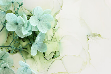 Creative image of pastel mint green Hydrangea flowers on artistic ink background. Top view with copy space