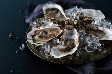  Oysters  on a rustic background