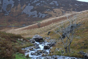 Wall Mural - Cadair Idris Mountain Landscape Background