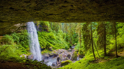 Wall Mural - Waterfall from the cliff in the green fairy forest. Silver falls state park, USA