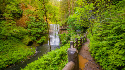 Wall Mural - Waterfall in the green fairy forest. Path with wooden fence along small stream. Silver falls state park, USA