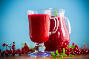 Wall Mural - freshly squeezed thick natural juice with pulp from ripe red viburnum in a decanter